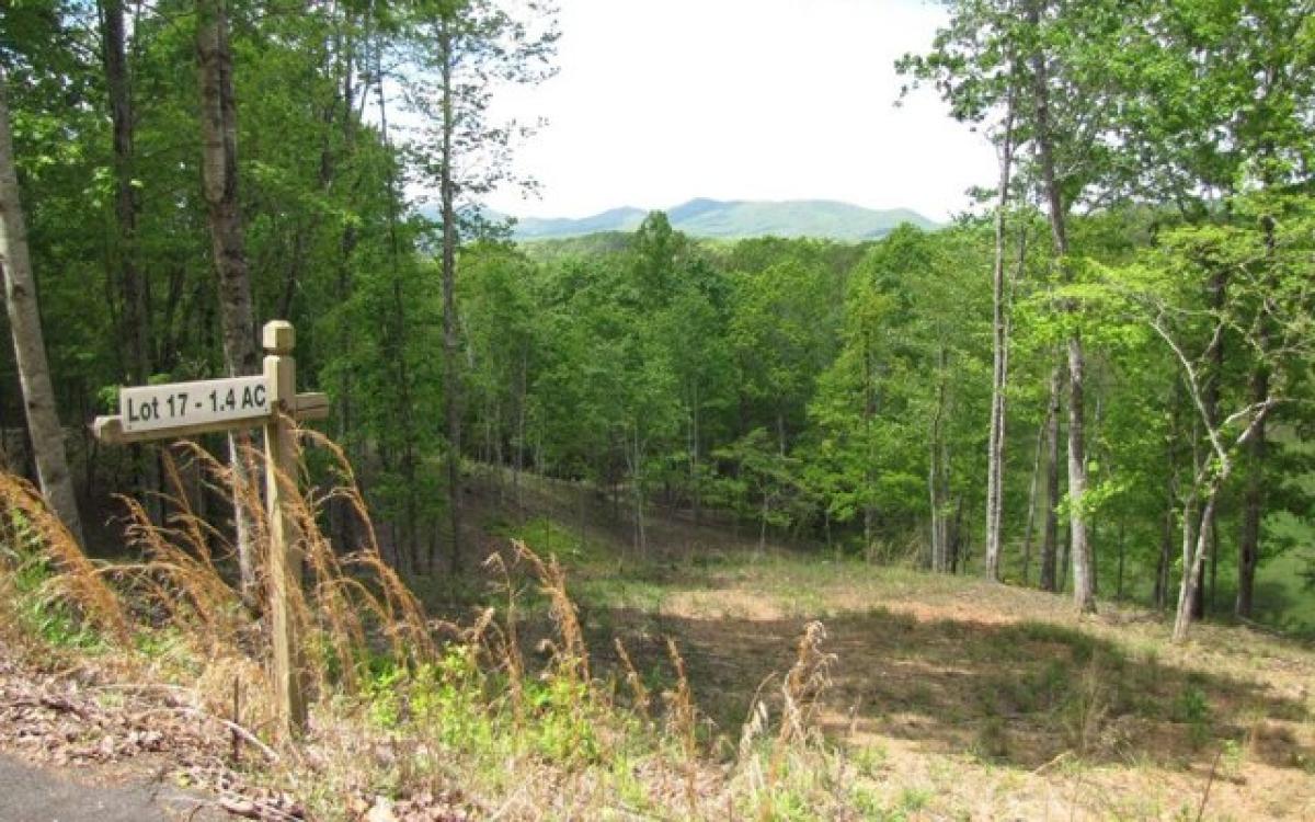 Picture of Residential Land For Sale in Brasstown, North Carolina, United States