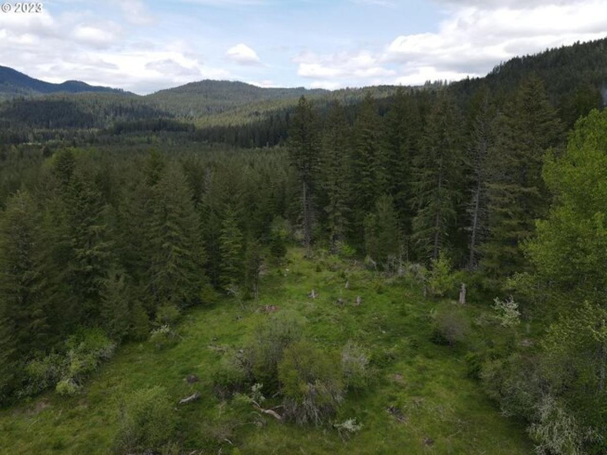 Picture of Residential Land For Sale in Carson, Washington, United States
