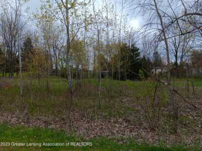 Residential Land For Sale in Perry, Michigan
