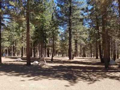 Residential Land For Sale in Mammoth Lakes, California