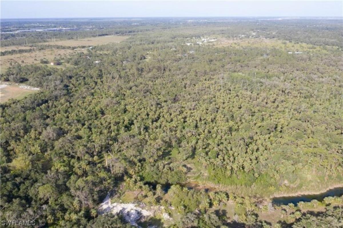 Picture of Residential Land For Sale in Alva, Florida, United States