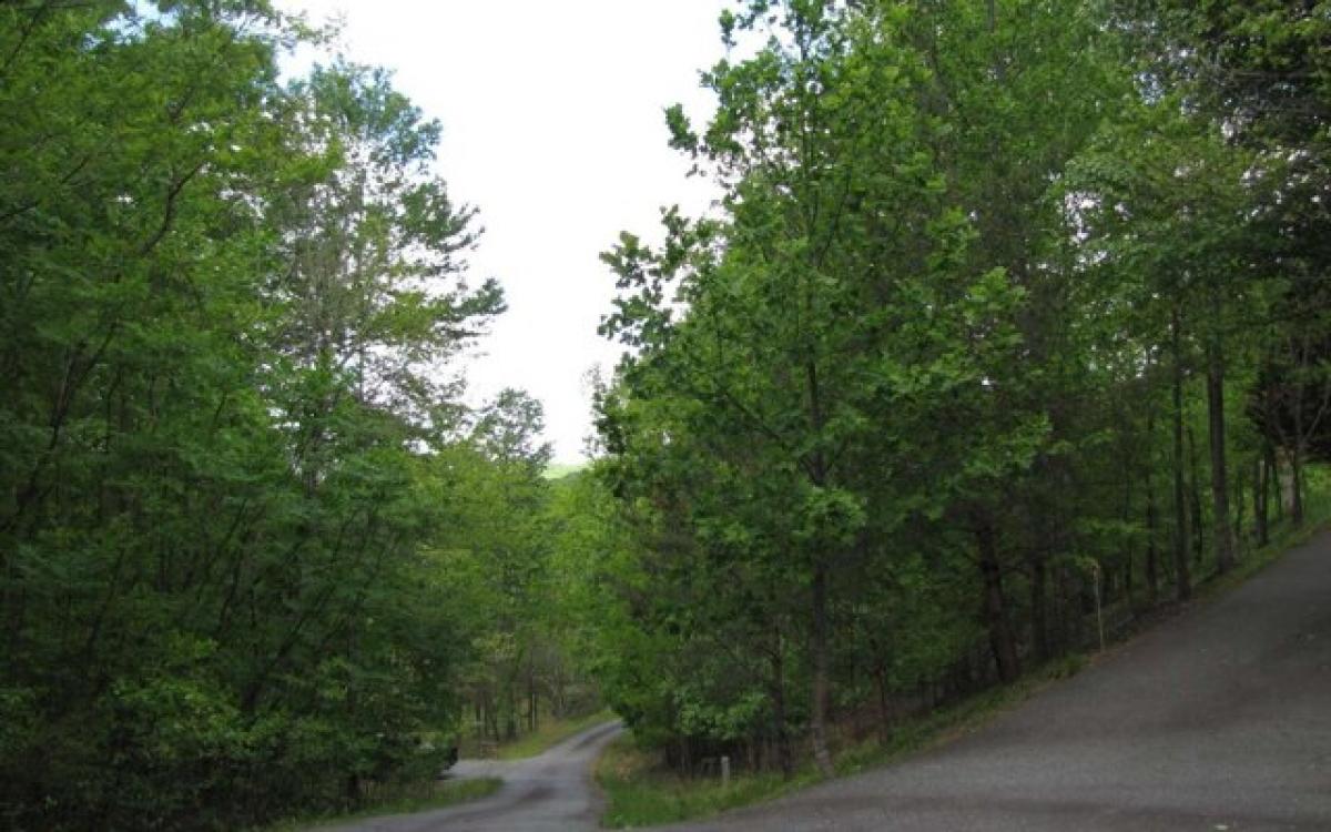 Picture of Residential Land For Sale in Brasstown, North Carolina, United States