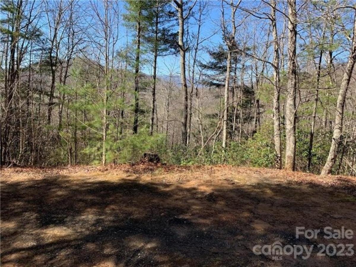Picture of Residential Land For Sale in Bakersville, North Carolina, United States