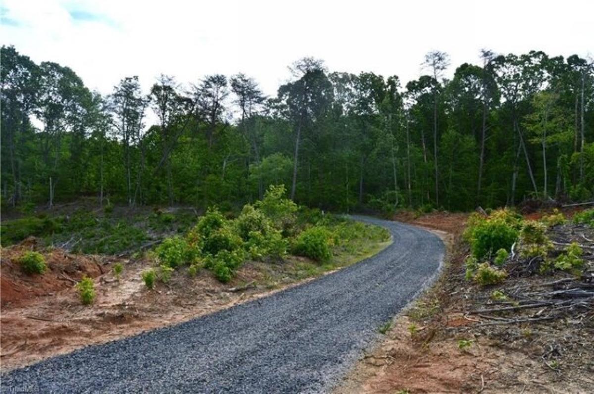 Picture of Residential Land For Sale in Reidsville, North Carolina, United States
