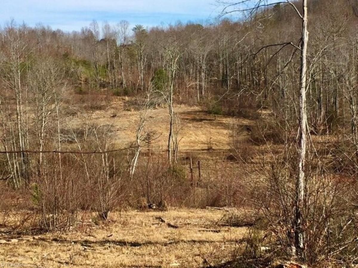 Picture of Residential Land For Sale in Westfield, North Carolina, United States