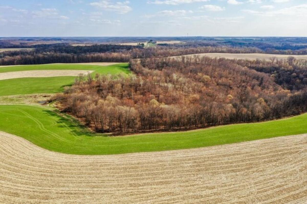 Picture of Residential Land For Sale in Cazenovia, Wisconsin, United States