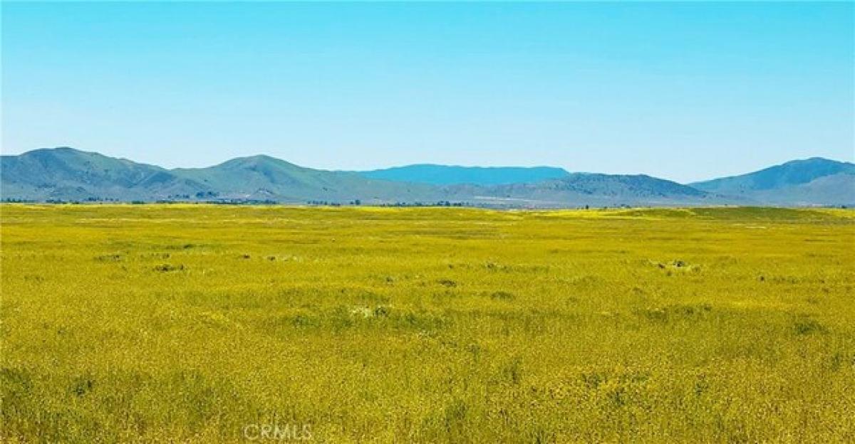 Picture of Residential Land For Sale in Santa Margarita, California, United States
