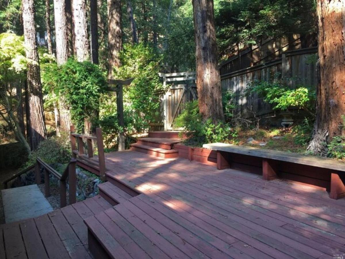 Picture of Home For Rent in Mill Valley, California, United States