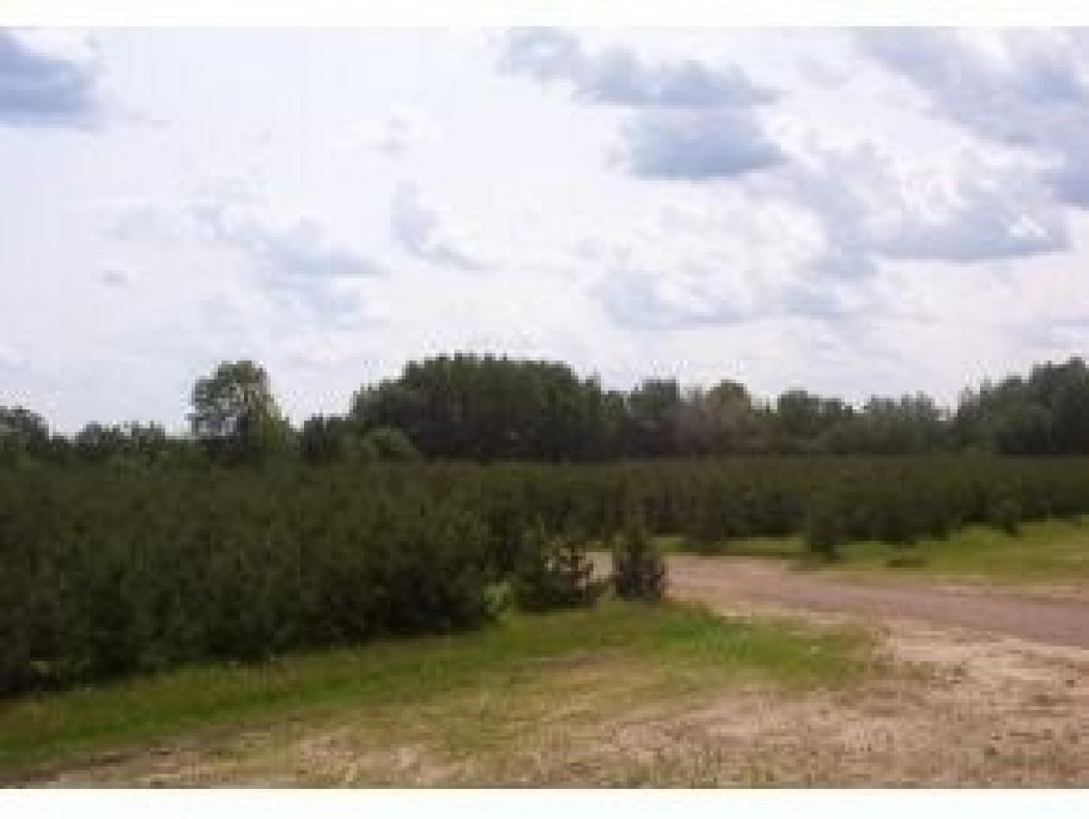 Picture of Residential Land For Sale in Mountain, Wisconsin, United States