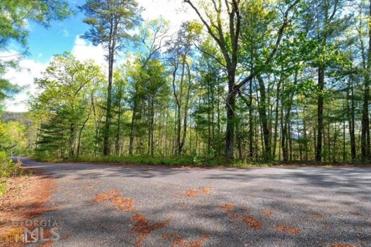 Picture of Residential Land For Sale in Tiger, Georgia, United States