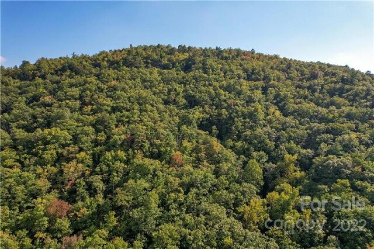 Picture of Residential Land For Sale in Rosman, North Carolina, United States