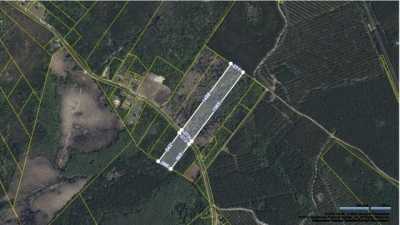 Residential Land For Sale in Ridgeville, South Carolina
