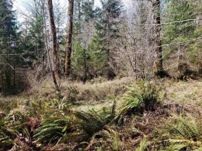 Residential Land For Sale in Mossyrock, Washington