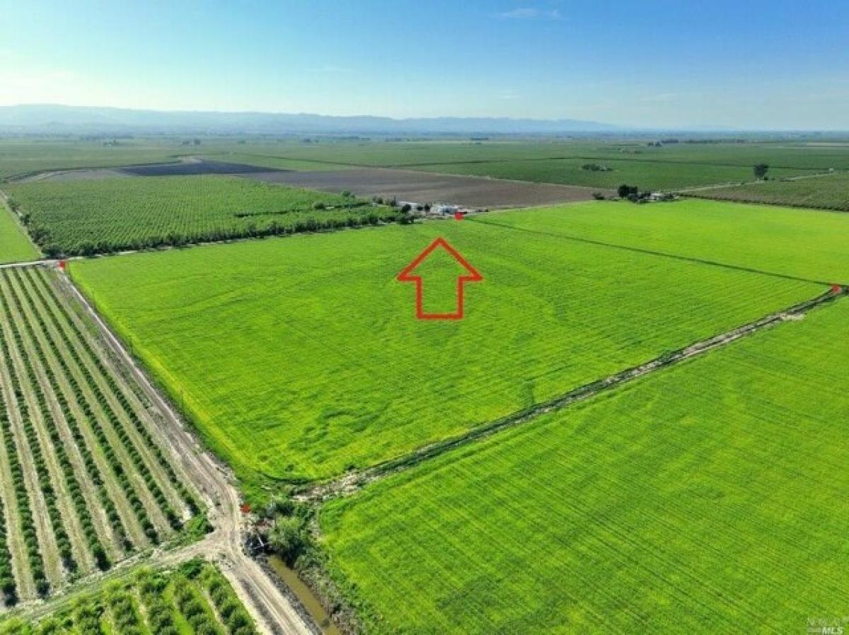 Picture of Residential Land For Sale in Dixon, California, United States