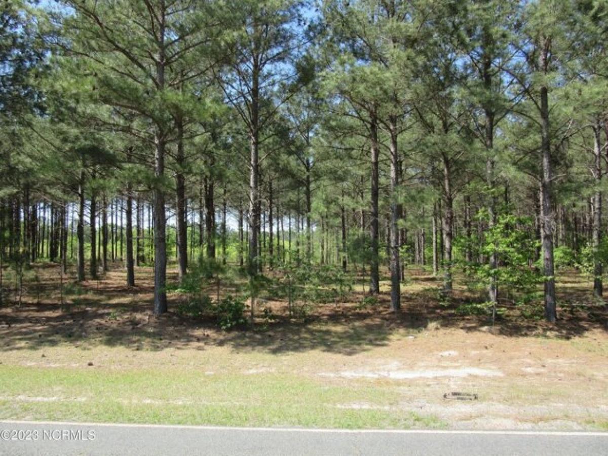 Picture of Residential Land For Sale in Rockingham, North Carolina, United States