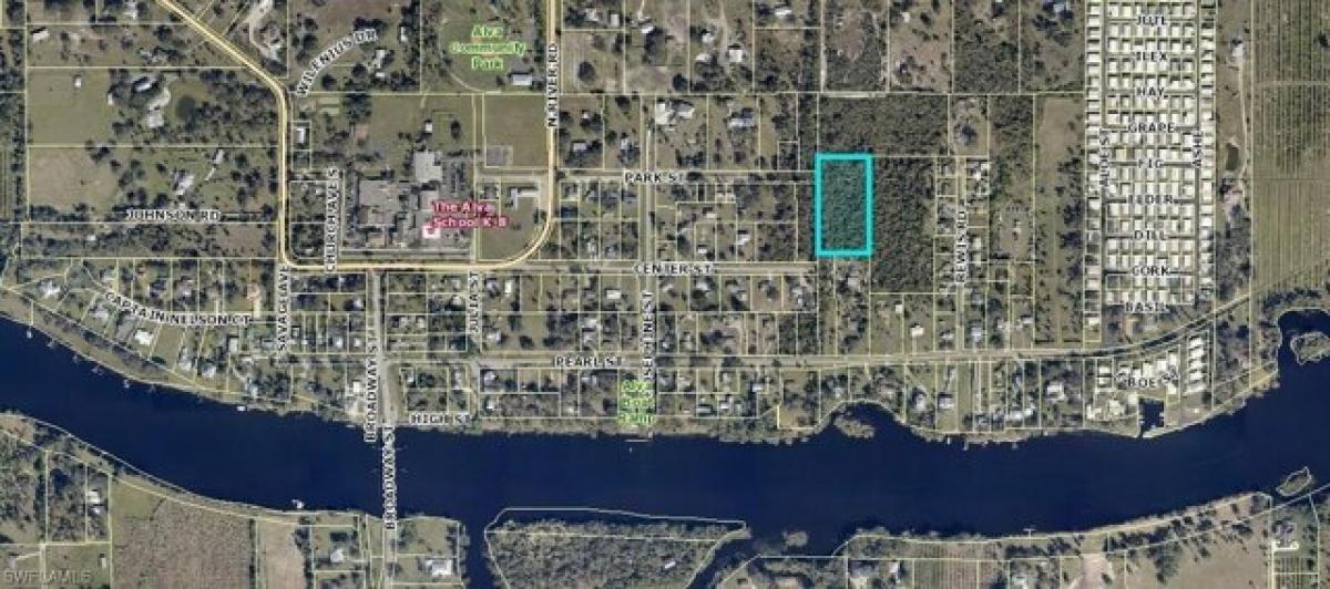 Picture of Residential Land For Sale in Alva, Florida, United States