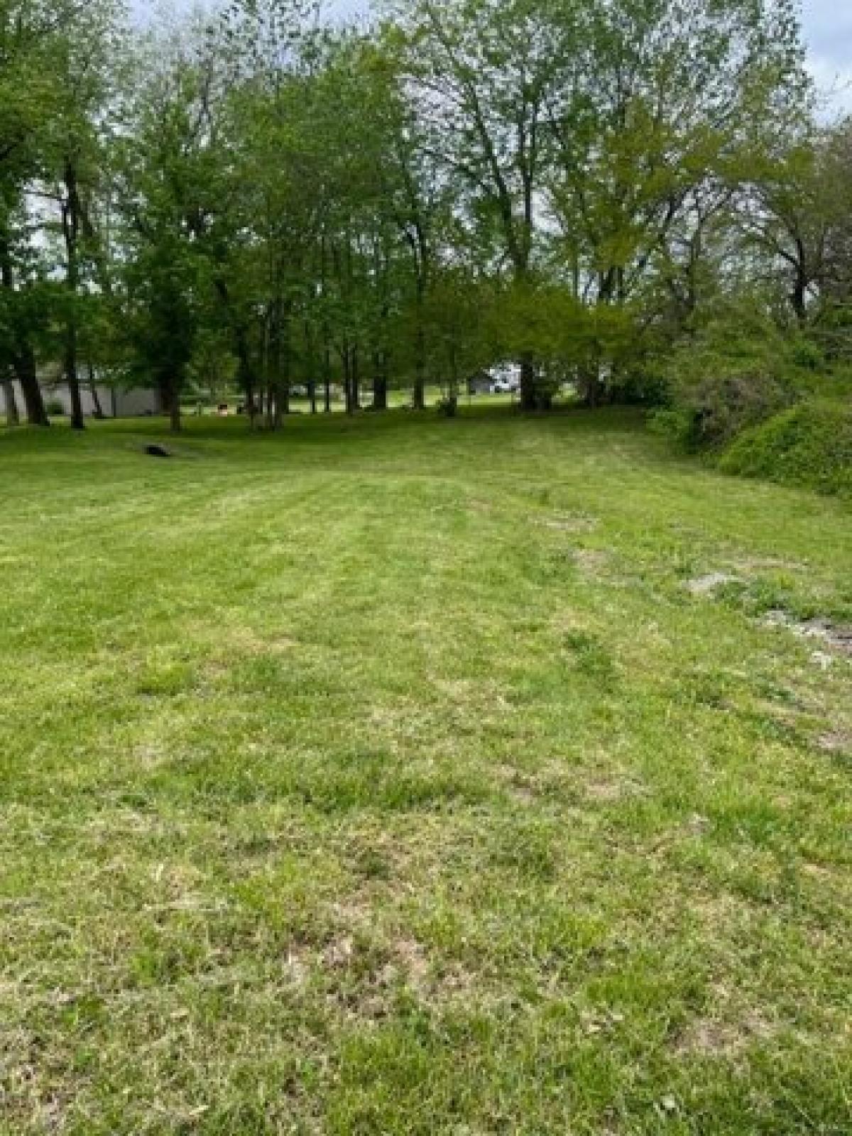 Picture of Residential Land For Sale in Cottage Hills, Illinois, United States