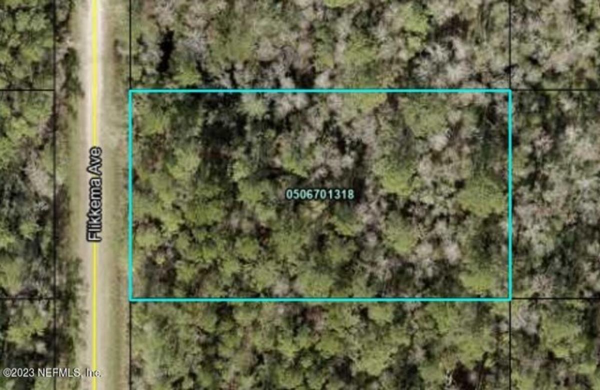 Picture of Residential Land For Sale in Hastings, Florida, United States