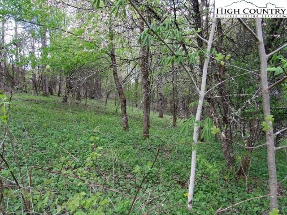 Picture of Residential Land For Sale in Creston, North Carolina, United States