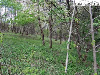 Residential Land For Sale in Creston, North Carolina