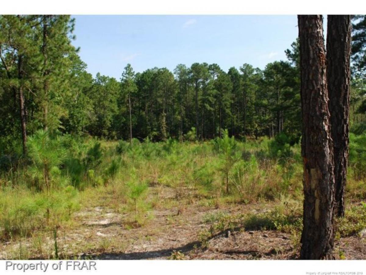 Picture of Residential Land For Sale in Spring Lake, North Carolina, United States