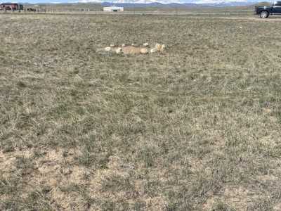 Residential Land For Sale in Buffalo, Wyoming