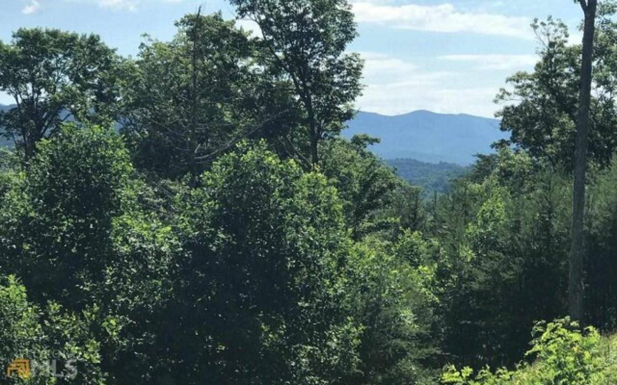 Picture of Residential Land For Sale in Hiawassee, Georgia, United States