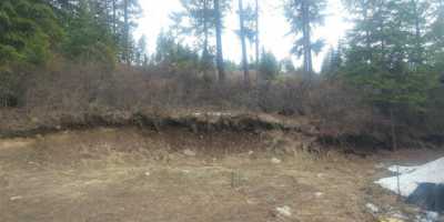 Residential Land For Sale in Rice, Washington
