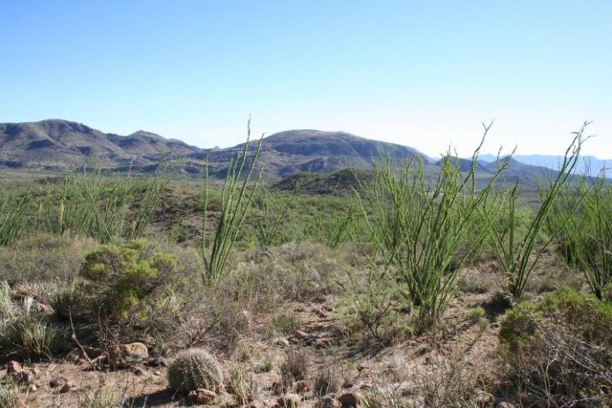 Picture of Residential Land For Sale in Tubac, Arizona, United States