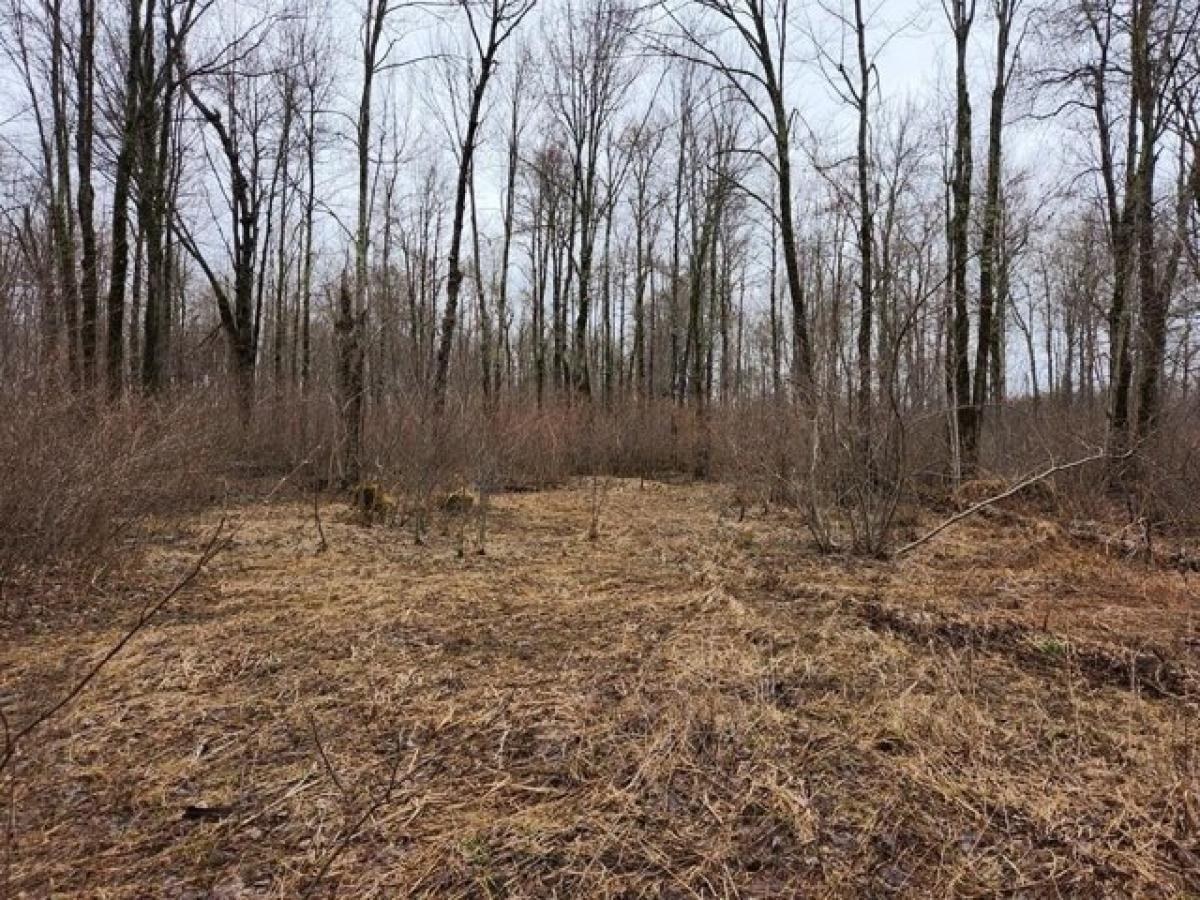 Picture of Residential Land For Sale in Phillips, Wisconsin, United States