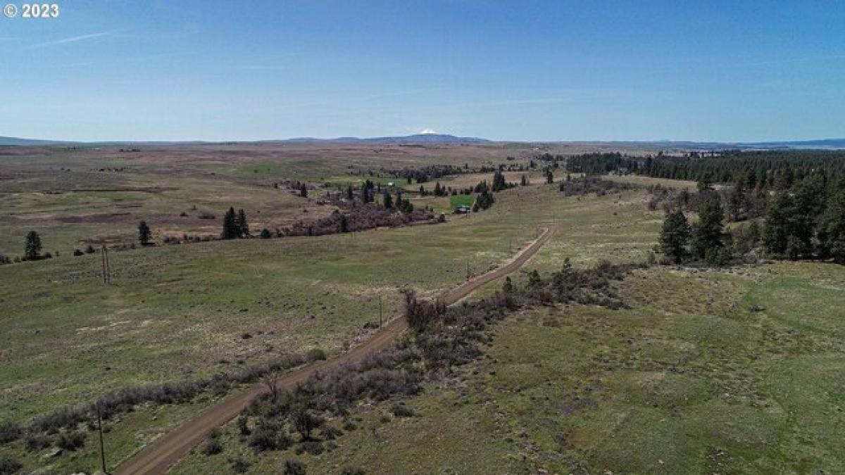 Picture of Residential Land For Sale in Goldendale, Washington, United States