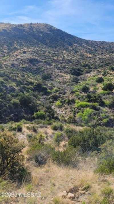 Residential Land For Sale in Bowie, Arizona