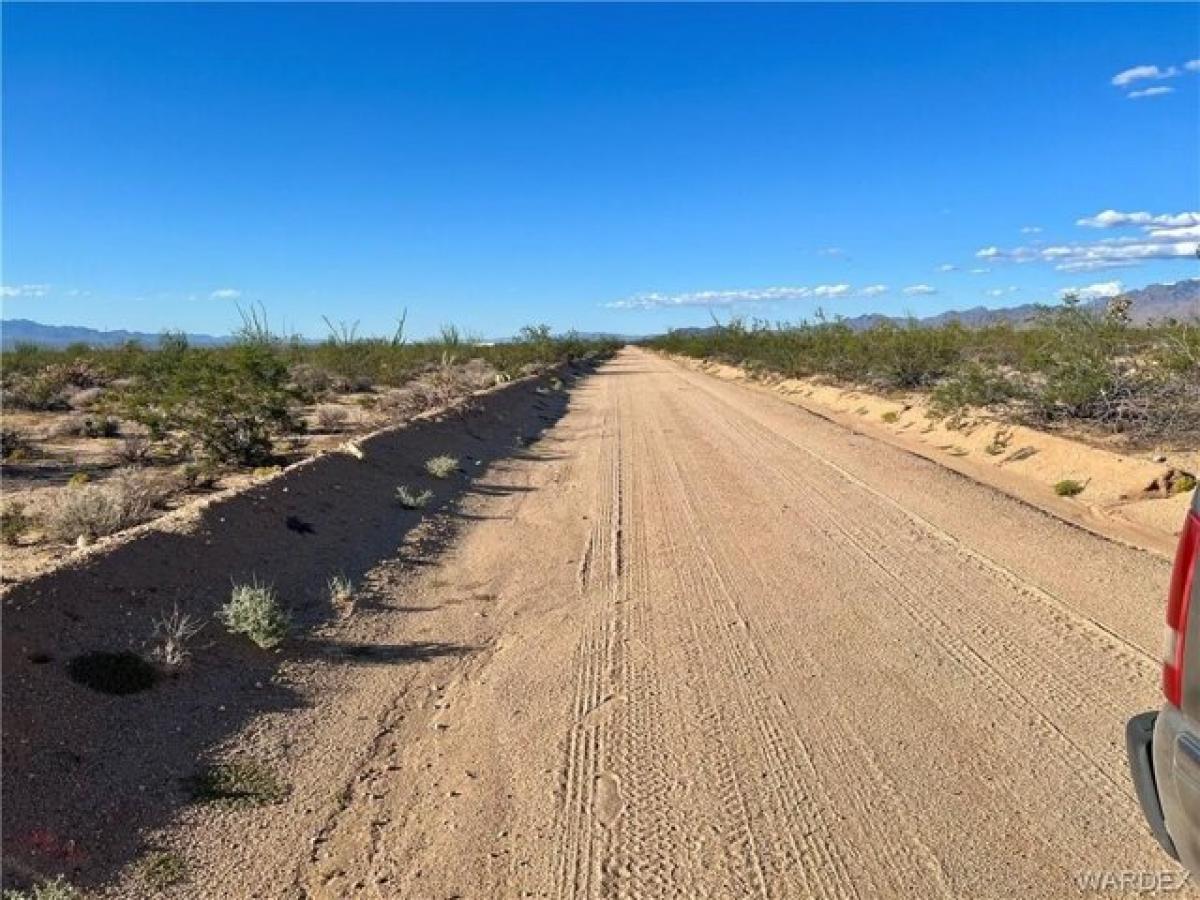 Picture of Residential Land For Sale in Yucca, Arizona, United States