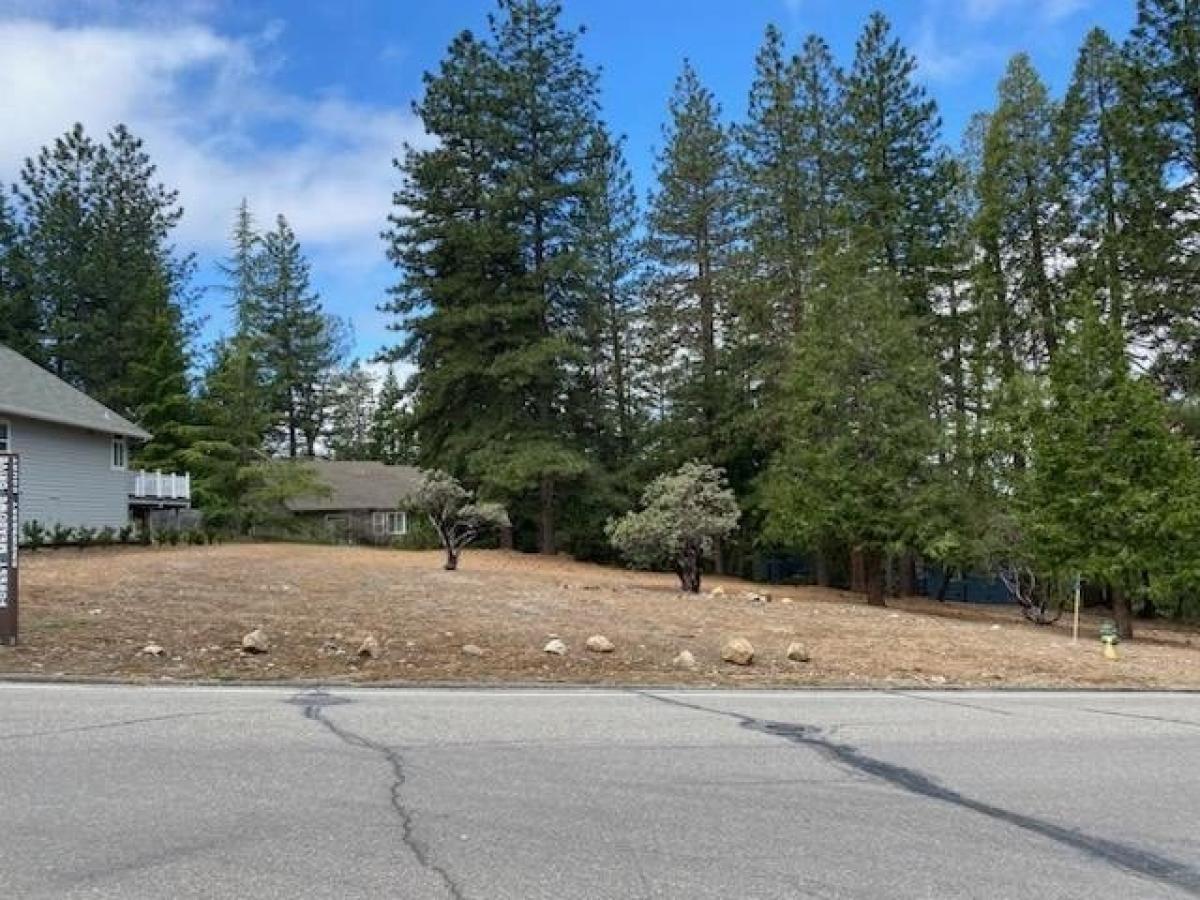 Picture of Residential Land For Sale in Murphys, California, United States