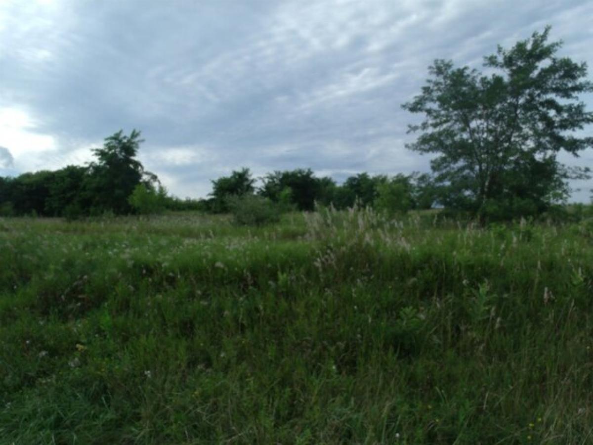 Picture of Residential Land For Sale in Princeton, Wisconsin, United States