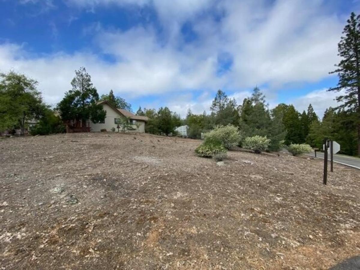 Picture of Residential Land For Sale in Murphys, California, United States