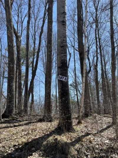 Residential Land For Sale in Birchwood, Wisconsin