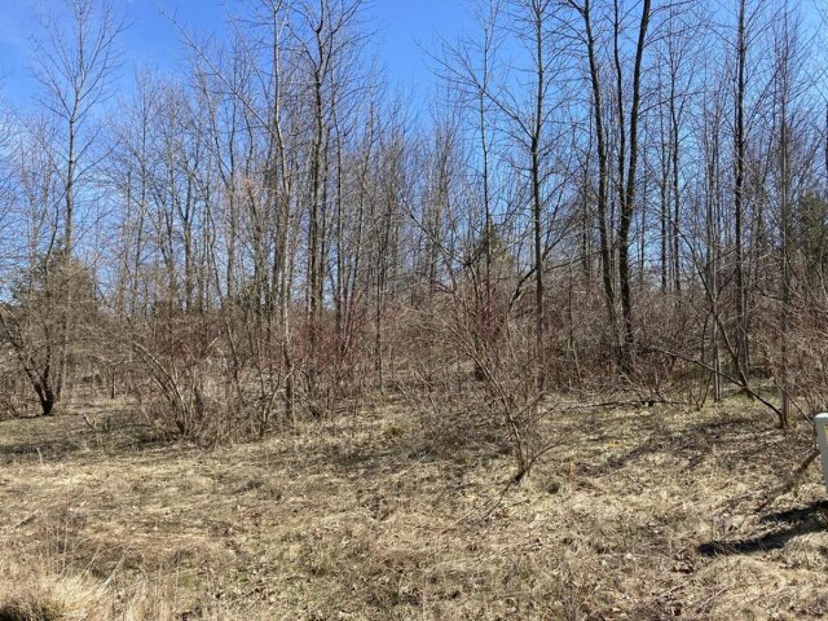 Picture of Residential Land For Sale in Two Rivers, Wisconsin, United States