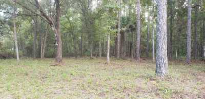 Residential Land For Sale in Hastings, Florida