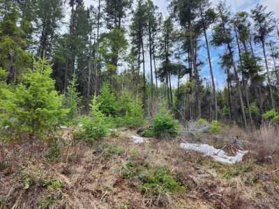 Residential Land For Sale in Curlew, Washington