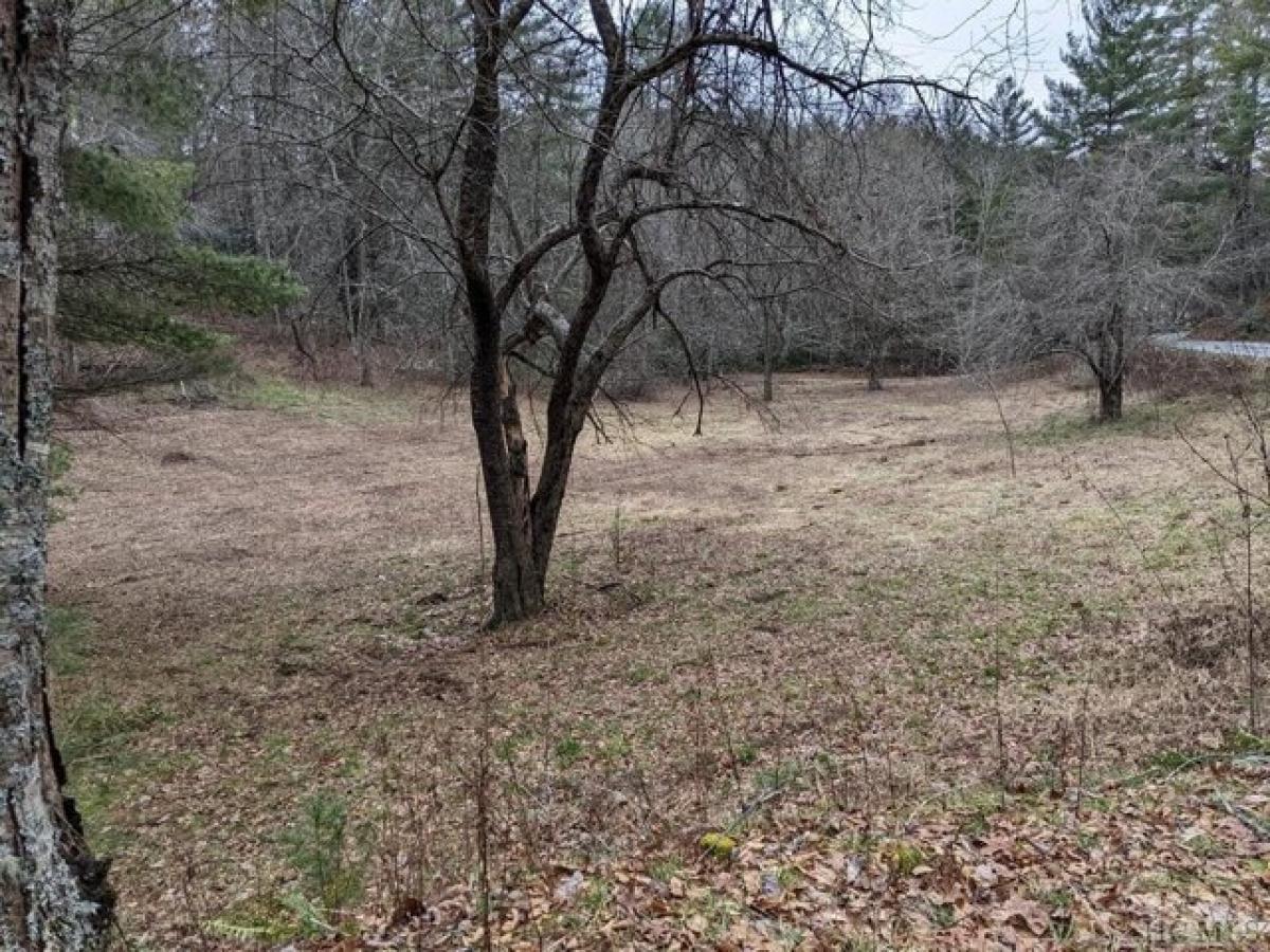 Picture of Residential Land For Sale in Glenville, North Carolina, United States