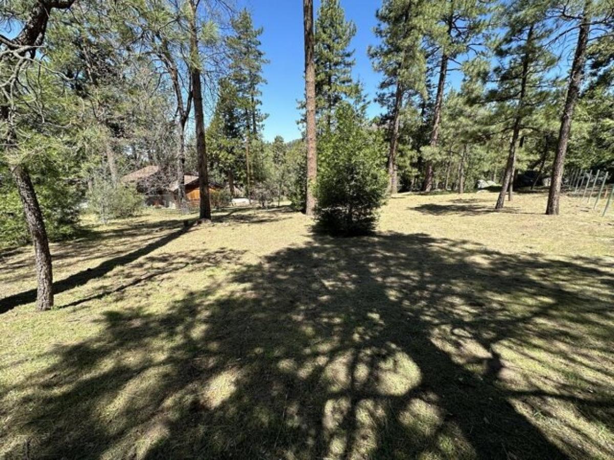 Picture of Residential Land For Sale in Idyllwild, California, United States