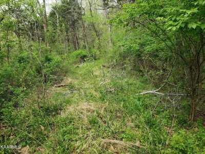 Residential Land For Sale in Harrogate, Tennessee