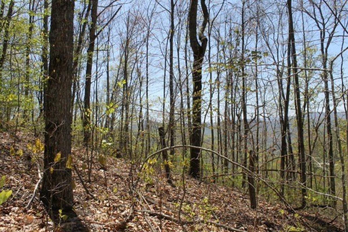 Picture of Residential Land For Sale in Cullowhee, North Carolina, United States