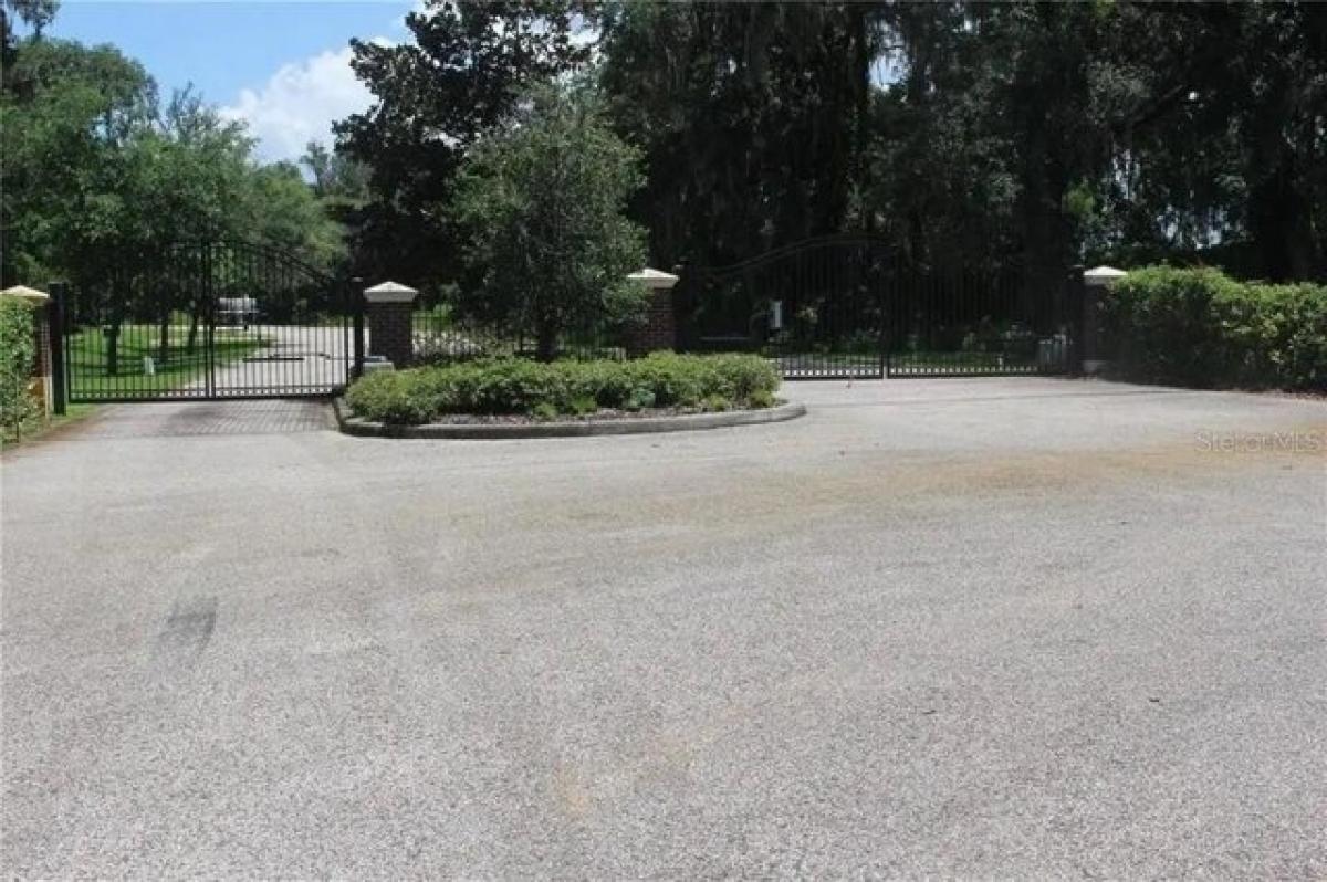 Picture of Residential Land For Sale in Dover, Florida, United States