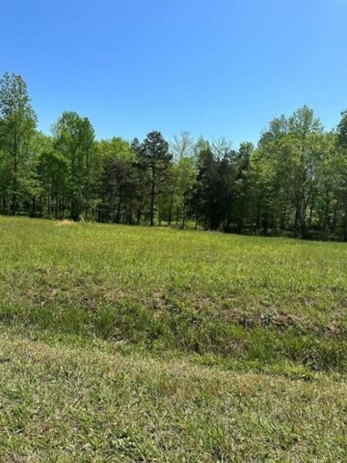 Picture of Residential Land For Sale in Yanceyville, North Carolina, United States