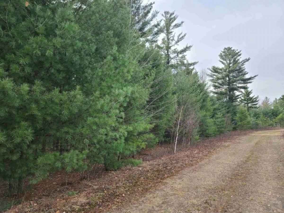 Picture of Residential Land For Sale in Stevens Point, Wisconsin, United States