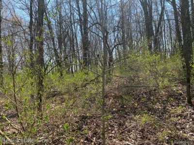 Residential Land For Sale in Chase, Michigan