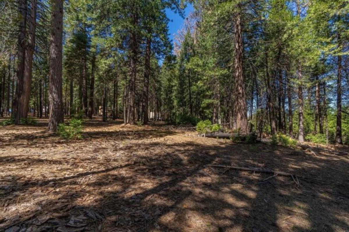 Picture of Residential Land For Sale in Pioneer, California, United States