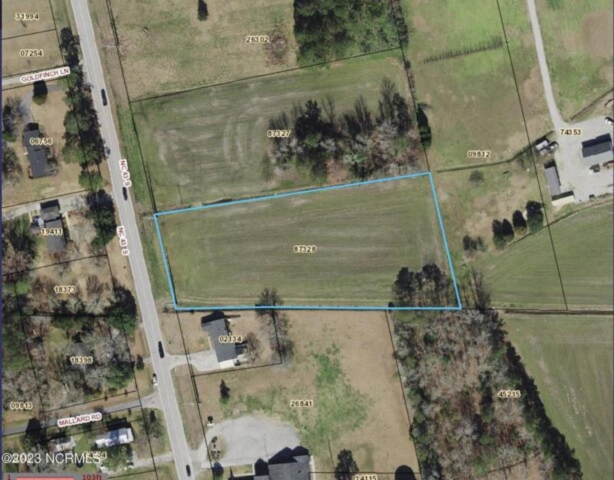 Picture of Residential Land For Sale in Greenville, North Carolina, United States
